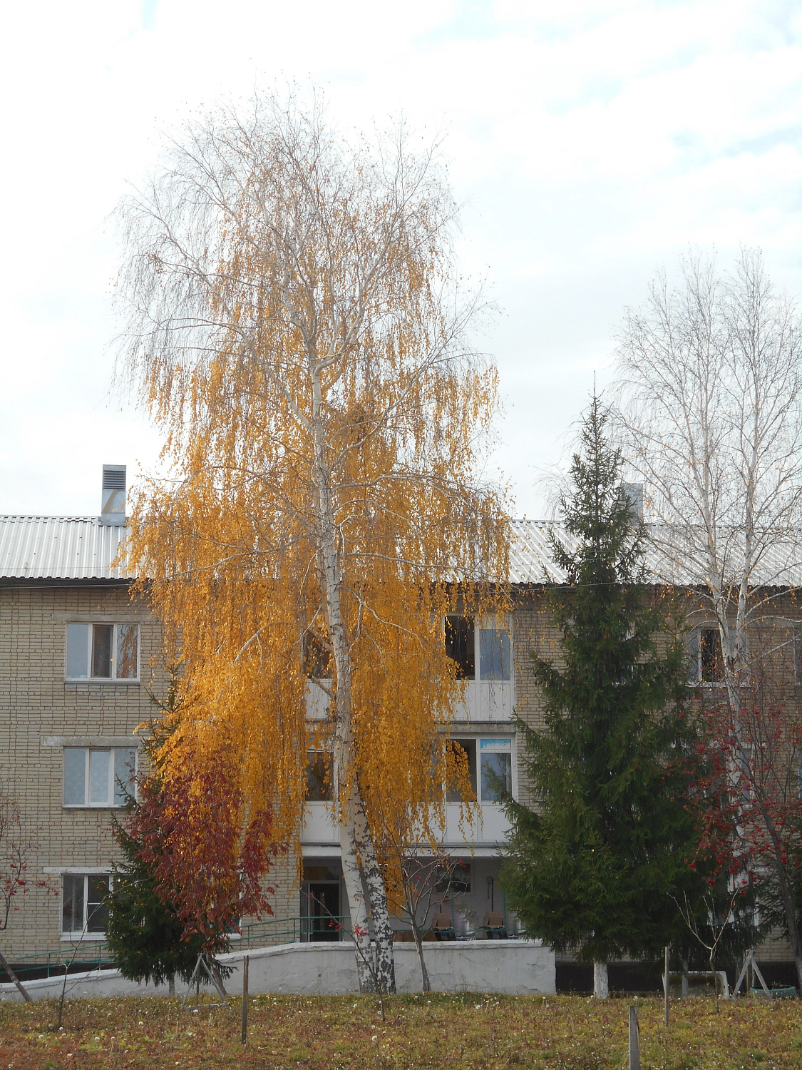Осенние мотивы Виктора Керна